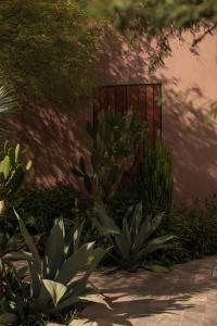 圣米格尔-德阿连德Quinta Amores alojamiento的一座花园,花园内种有植物,设有大门