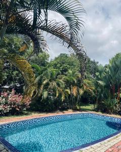 艾尔克如A'Famosa Villas的棕榈树庭院内的游泳池
