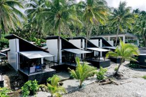 TigbaoSurigao Dream Beach Resort的棕榈树海滩上的房子