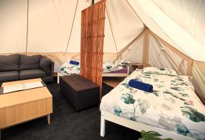 ZeehanGlamping at Zeehan Bush Camp的带1张床铺和1张沙发的帐篷客房