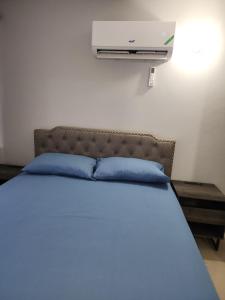 金斯敦Comfy and cozy的一间卧室配有一张带蓝色枕头的床和加热器