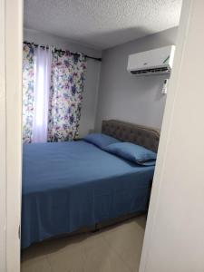 金斯敦Comfy and cozy的一间卧室设有蓝色的床和窗户。