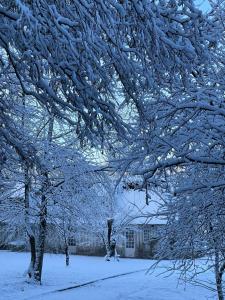 AblonLES 2 CHAUMIÈRES Piscine & Spa的被雪覆盖的树,房子旁边