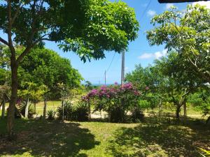 卢塞纳Casa de campo, perto da praia的草丛中树木和粉红色花卉的公园