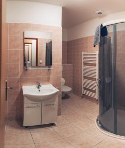 Kněževes玛什塔利酒店的一间带水槽、淋浴和卫生间的浴室