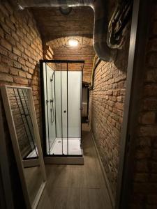 波兹南Stay in Poznan Tropical的砖墙内带玻璃淋浴间的走廊