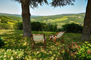 拉达-因基安蒂Tenuta il Poggetto的两把椅子坐在树下的草地上