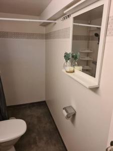 VendelsöTyresta by, Lillgården的浴室设有卫生间和墙上的镜子。