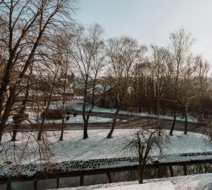 达鲁瓦尔Apartman Vista的一座有雪覆盖的公园,里面种有树木,并有栅栏