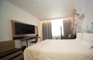 维尔纽斯诺富特维尔纽斯中心酒店的配有一张床和一台平面电视的酒店客房