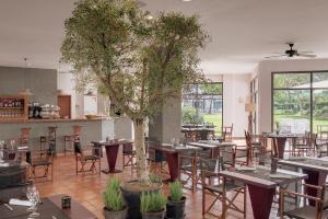 厄尔-汝姆披多朗皮多俱乐部精品度假酒店的中间有一间设有桌椅的餐厅,还有一棵树