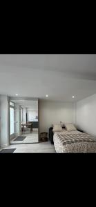 维罗夫莱Studio - Spacious and well equipped的一间卧室配有一张床和一面大镜子
