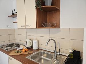 卢卡瓦克Apartments Vjera Rukavac的厨房配有水槽和台面