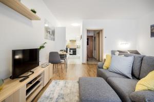 布达佩斯Marina apartment at Danube - FREE PRIVATE PARKING!的带沙发和电视的客厅