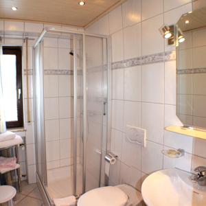 埃尔察赫Schlosshof - der Urlaubsbauernhof的带淋浴、卫生间和盥洗盆的浴室