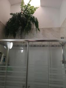 马斯帕洛马斯Yumbo room的一间带淋浴的浴室,配有盆栽植物