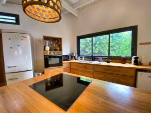 圣勒Lodge Nature的带冰箱和窗户的大厨房