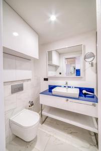 巴统Panorama Sea View Central City Batumi & ApartHOTEL的白色的浴室设有卫生间和水槽。