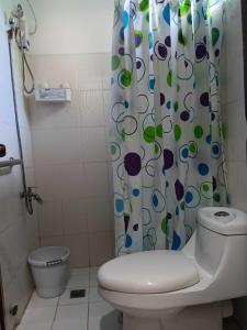 爱妮岛Forest Bay Inn El Nido的一间带卫生间和淋浴帘的浴室