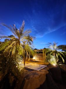 圣佩德罗塞拉塞拉帝国生态度假酒店的棕榈树和夜间游泳池的度假村