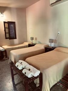 圣地亚哥-德尔埃斯特罗Reserva Natural RG的酒店客房 - 带三张床和毛巾