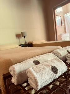 圣地亚哥-德尔埃斯特罗Reserva Natural RG的酒店客房的床上有两条毛巾