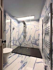 罗撒西Ivybank Villa的浴室拥有蓝色和白色的大理石墙壁,设有卫生间。