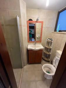 Gannot Hadarסוויטה במושב פסטורלי רומנטי ושקט的一间带卫生间、水槽和镜子的浴室