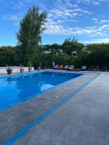 派桑杜Hotel La Castellana的庭院内带躺椅的大型游泳池