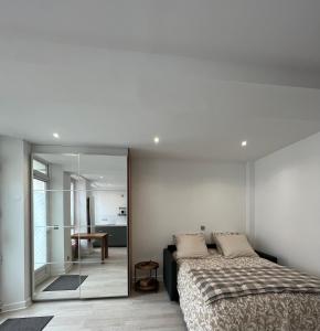 维罗夫莱Studio - Spacious and well equipped的一间卧室配有一张床和镜子