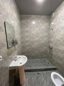 祖格迪迪Hotel Lumi的一间带水槽和卫生间的浴室