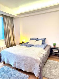 图尔库Turku Central Luxury Modern Cozy Flat 69m2的一间卧室配有一张带蓝色枕头的大床