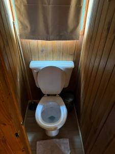 厄尔查尔坦科莫瓦加公寓的木制客房内的小浴室设有白色卫生间
