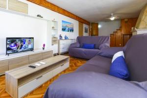 拉皮内达DELFINES NEW Planet Costa Dorada的客厅配有两张紫色沙发和一台电视机