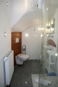 费尔德伯格Haus Blattert - Neuglashütten的一间带水槽、卫生间和淋浴的浴室