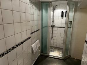 斯德哥尔摩Hotel Tre Små Rum的带淋浴的浴室和玻璃门