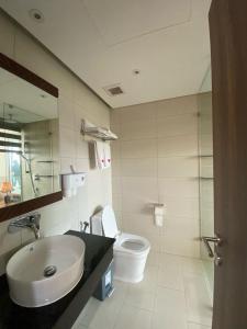 绥和市Apec Mandala Hotel Tuy Hoà的一间带水槽、卫生间和镜子的浴室