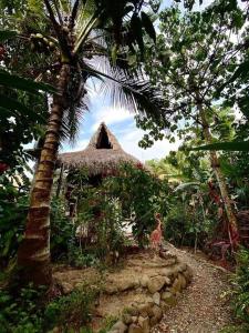 帕洛米诺Casa Komerio的一间棕榈树小屋,一个站在小屋前面的人