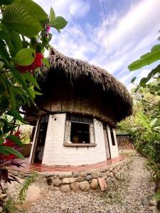 帕洛米诺Casa Komerio的茅草屋顶的小小屋,设有窗户