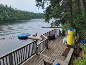 Algonquin HighlandsThe Bear Cave Cottage at Little Kennisis Lake的码头上有狗和船