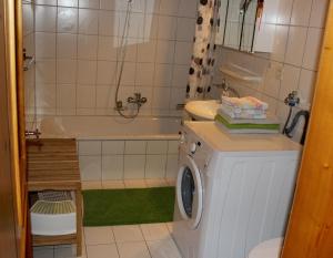 埃格Bauernhof Hammerer的浴室配有洗衣机、水槽和洗衣机。