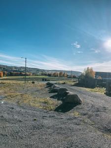 LierSpørkel Landbruk的路边的一排岩石