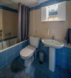 科扎尼Frida's Home for 2 in Kozani的蓝色瓷砖浴室设有卫生间和水槽
