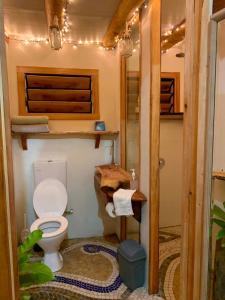 MakaungaTukulolo Treehouses的一间小房子里带厕所的浴室