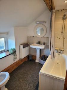 LlwyngwrilCosy modern cottage by the sea, heart of snowdonia的一间带水槽、浴缸和卫生间的浴室
