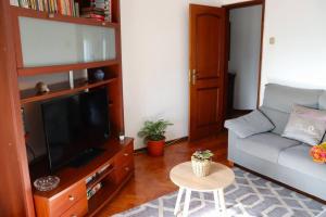 阿马多拉Judith House - Amadora Este的带沙发和平面电视的客厅