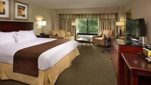 夏洛特夏洛特机场希尔顿逸林酒店的酒店客房设有一张大床和一张书桌。