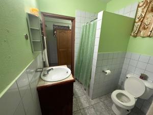 格罗斯岛Homely environment ideal for a home away from home的绿色浴室设有卫生间和水槽