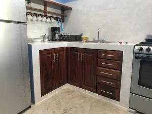 Barrio NuevoLA CASA AZUL DE SAMARA的一个带木制橱柜和水槽的厨房