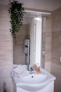 博洛尼亚Bologna Travel Suite的浴室水槽,配有镜子和植物